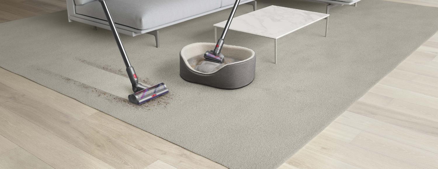 Dyson Outsize vacuum with Hair screw tool attachment cleaning hair from a dog bed.